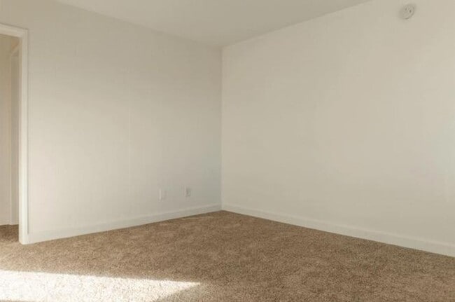 Foto del edificio - Pine