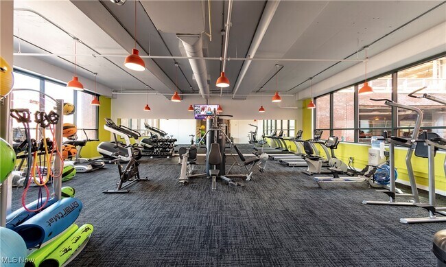 Building Photo - 725 Johnson Ct