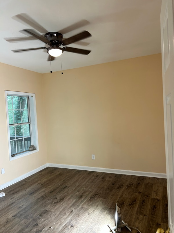 Building Photo - 810 Celeste Ln