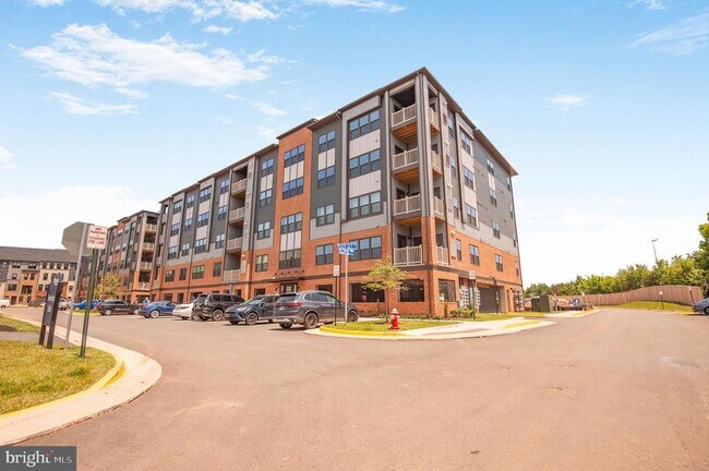 Foto del edificio - 4399 Peach Lily Ln