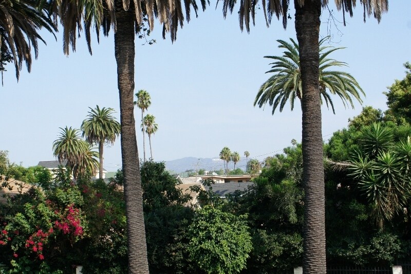 4622 W Maplewood Ave Unit 1, Los Angeles, CA 90004 Apartments in Los Angeles, CA