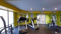 This fitness center is a purpose-built exercise space designed to support a full range of workout routines. The room is immediately distinguished by its bold, lime-green accent walls that lend an energetic and motivating atmosphere to the environment. Recessed lighting throughout the ceiling ensures bright, consistent illumination across the entire space.

The cardio section is well-appointed with multiple treadmills from True Fitness, a reputable commercial-grade brand, positioned to allow comfortable use. A full-length mirror spans one wall, visually expanding the room and allowing users to monitor their form during exercise. Reflected in the mirror, additional cardio equipment is visible, indicating a broader selection of machines available within the space.

A dedicated free weights area is also present, with a visible dumbbell rack along the wall, catering to strength training needs. Motivational fitness posters are displayed on the walls, adding to the purposeful, gym-like ambiance. The flooring consists of dark rubber matting, a practical and safety-conscious choice standard in professional fitness facilities.

Natural light filters in through glass-paneled doors that provide access to an adjacent area, offering a sense of openness. The ventilation system is supported by ceiling vents, ensuring proper airflow throughout the room during use.
