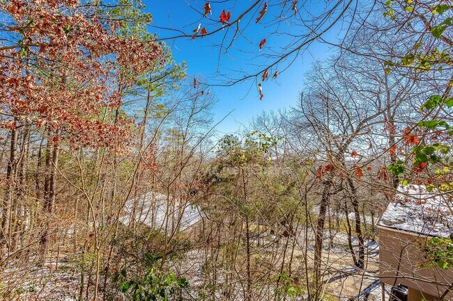 Foto del edificio - 3620 Idlewild Cir