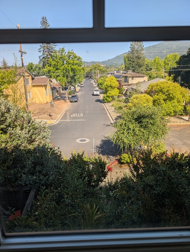 Building Photo - 529 San Benito Ave