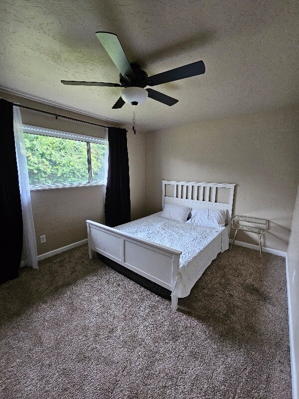 Foto del edificio - 590 Dee Ct