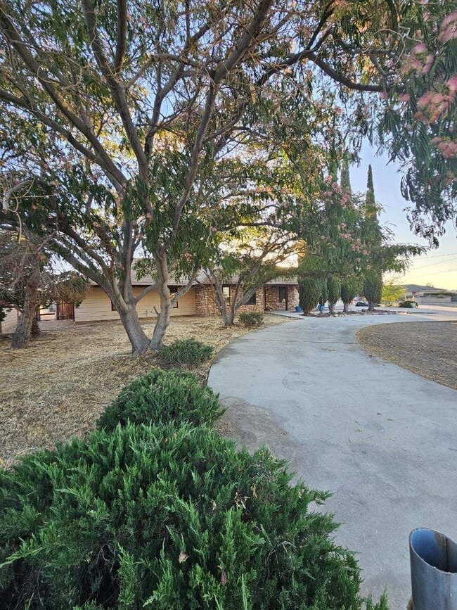 Foto del edificio - 7742 Oxford Ave