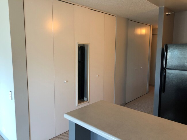 Building Photo - 474 N Lake Shore Dr