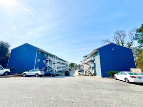 Interior Photo - Pelican Dock Apartments