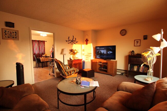 Living Room - 921 Elizabeth St