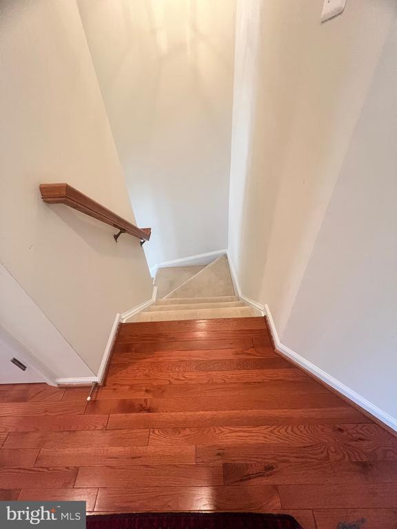 Foto del edificio - 7317 Hampton Manor Pl