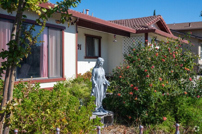 There are plenty of different lawn decorations all over the West Manteca neighborhood.