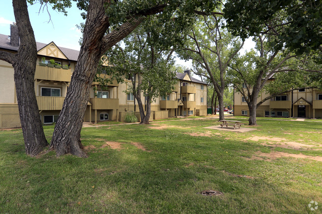 Área de pícnic - Spring Ridge Village