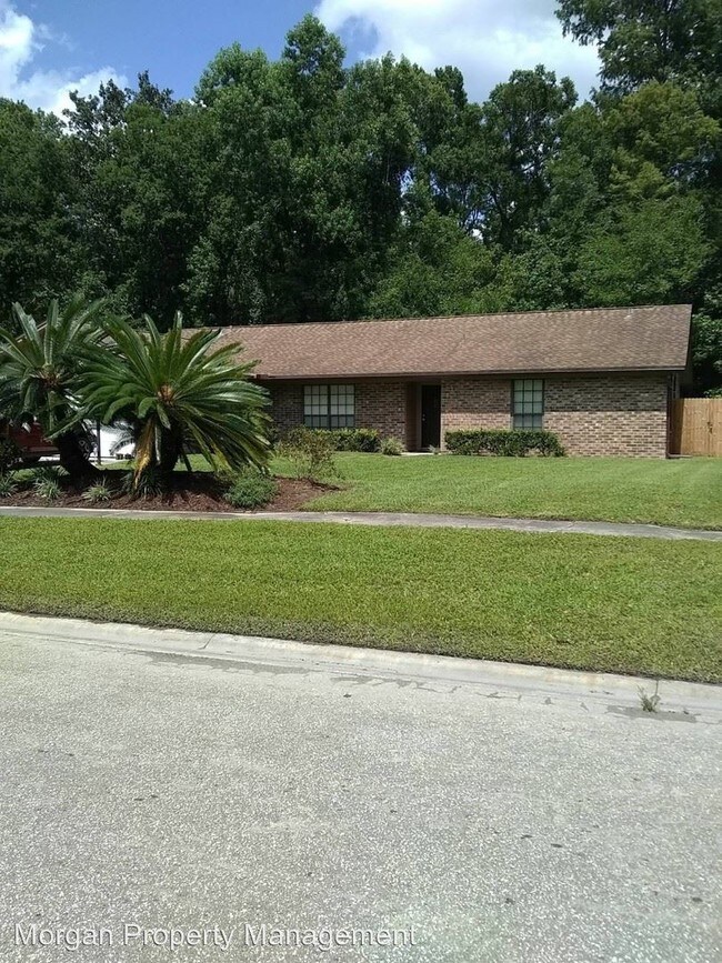 Building Photo - 3 br, 2 bath House - 1285 Dolphin Street