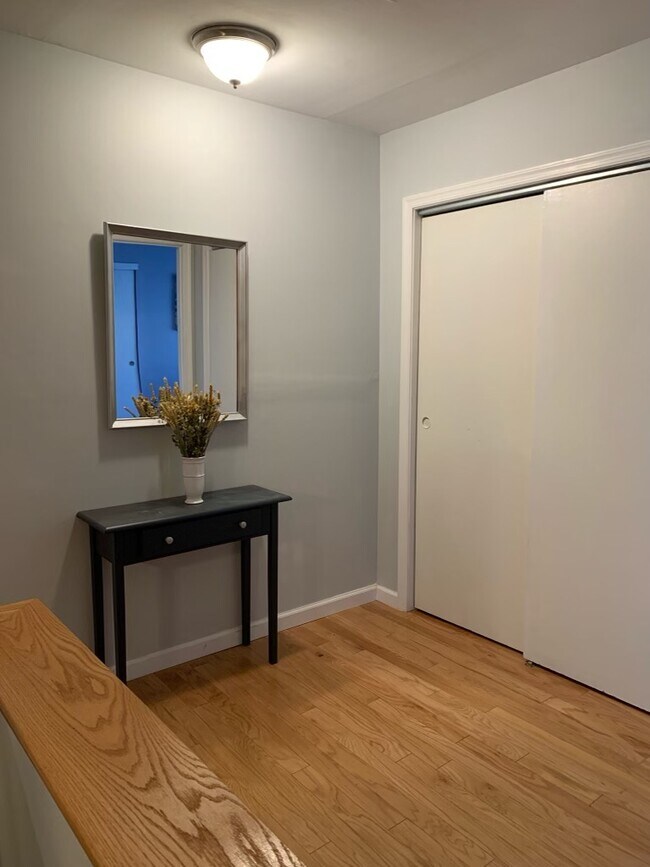 Closet/Entry Way - 824 Meadowview Ln