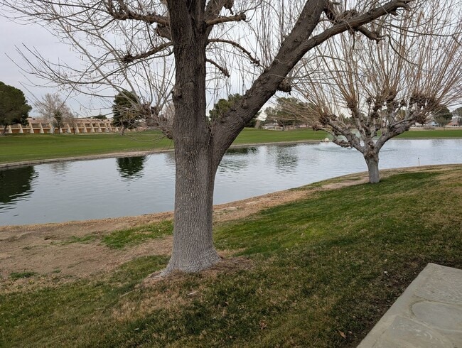 Building Photo - Cute Condo in Silverlakes