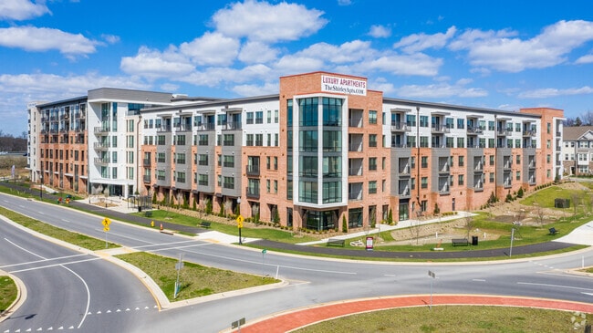 Building Photo - The Shirley (Core)