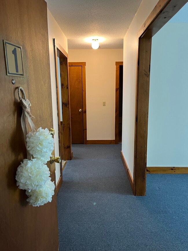 Photo - 163 Woodland Dr Apartments