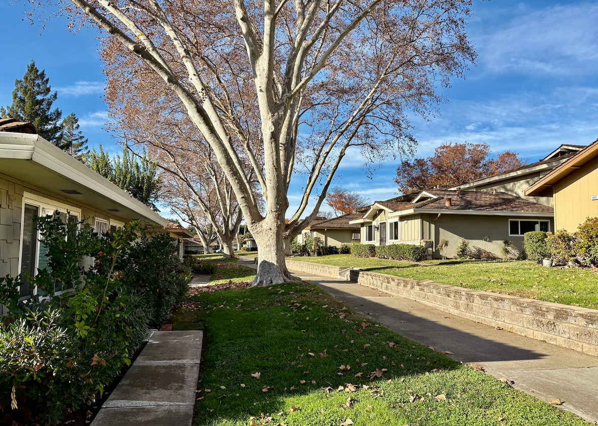 Foto principal - Remodeled Upper-Floor Condo