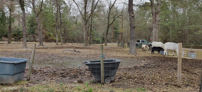 Building Photo - 3 br, 2 bath House - 27619 Piney Wood Lane