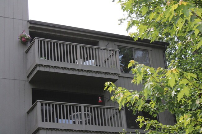 Building Photo - 255 Shoreline Rd