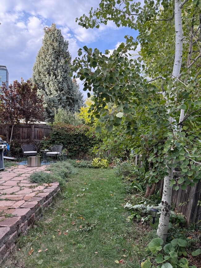 Backyard - 332 Buchanan Ct