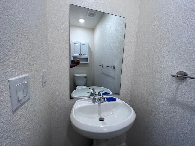 downstairs guest bathtoom - 2458 River Valley Cir