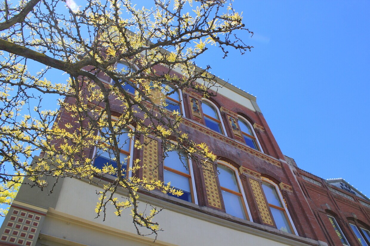 Primary Photo - *The Kleinberg Building*