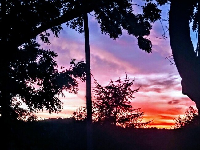 View outside studio - 749 Solana Dr