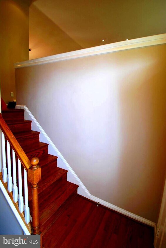 6508 Telegraph Rd, Alexandria, VA 22310 House for Rent in Alexandria