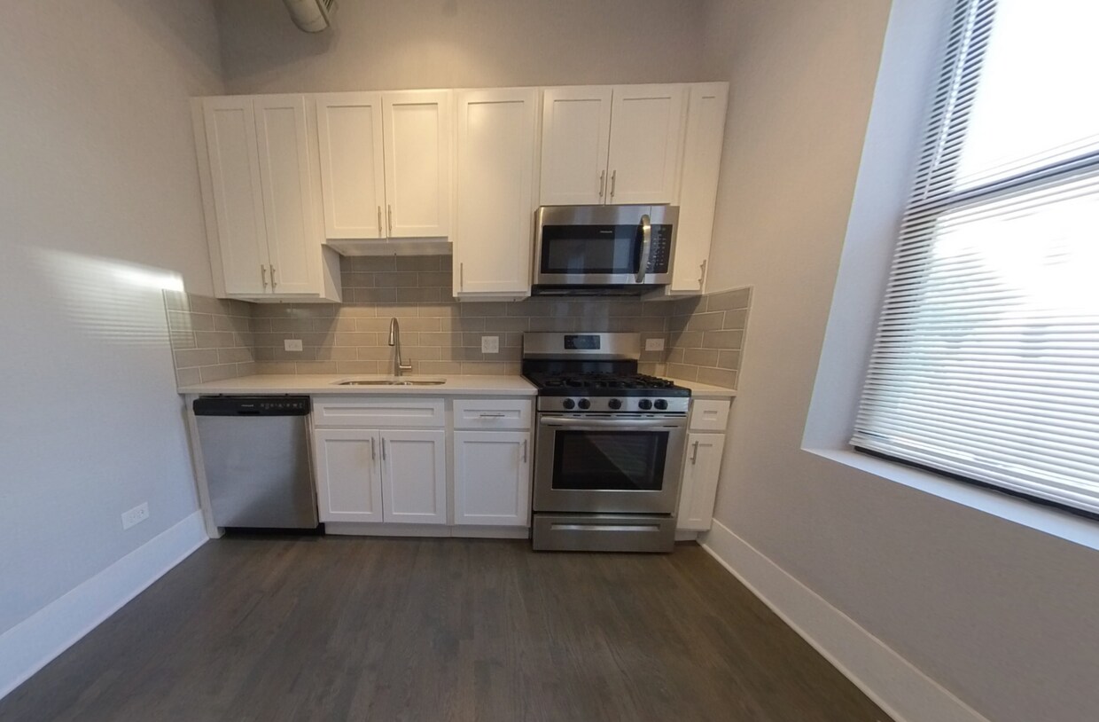 1717 S Carpenter St Unit 33, Chicago, IL 60608 Condo for Rent in Chicago, IL