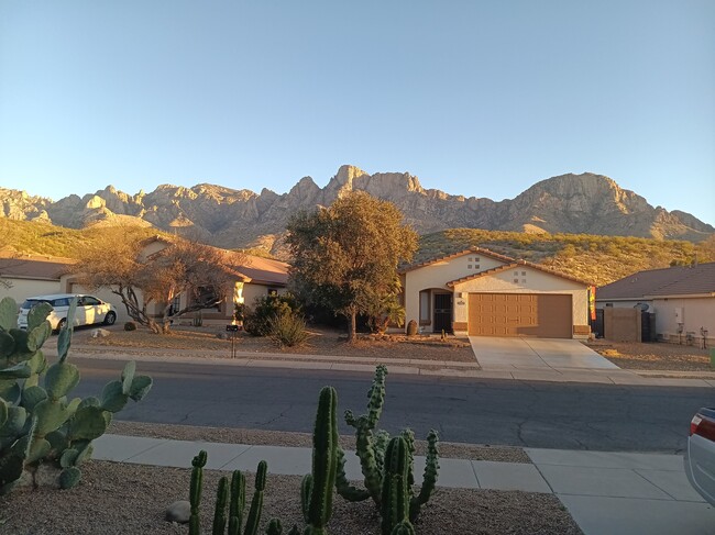 Dramatic mountain views from front of house - 2411 E Stone Stable Dr