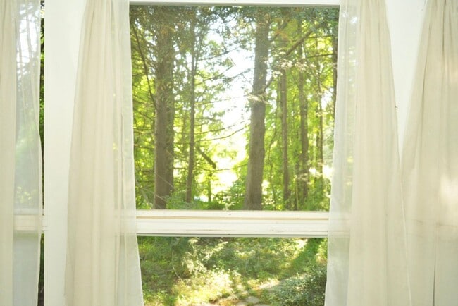 Foto del edificio - Close to Charlottesville, Yet Tucked Away ...
