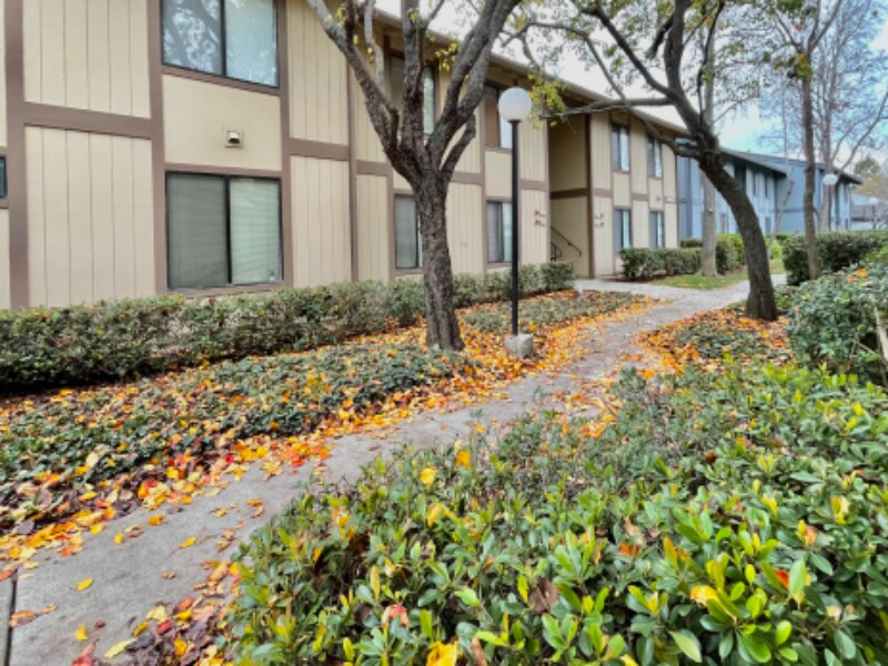 6292 Joaquin Murieta Ave Unit B, Newark, CA 94560 Condo for Rent in