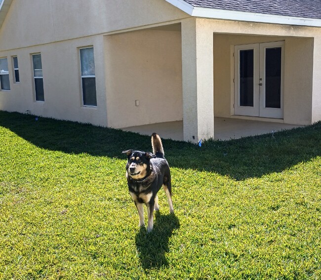 Building Photo - 3208 Alling Ct