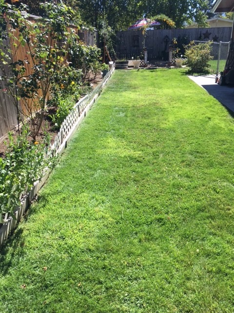 Building Photo - 2906 Alameda St