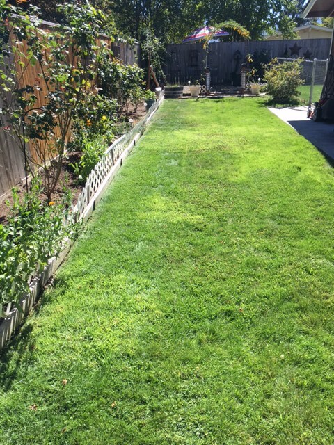 Foto del edificio - 2906 Alameda St