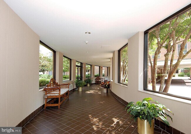 Foto del edificio - 8101 Connecticut Ave