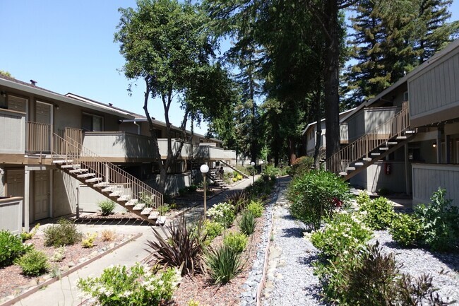 Building Photo - Sunrise Center Apartments