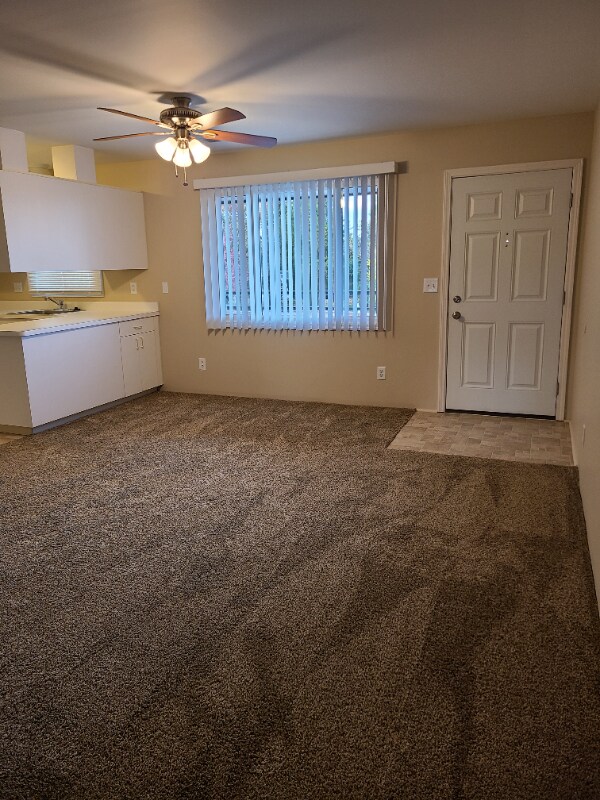 Primary Photo - 303 Roe St