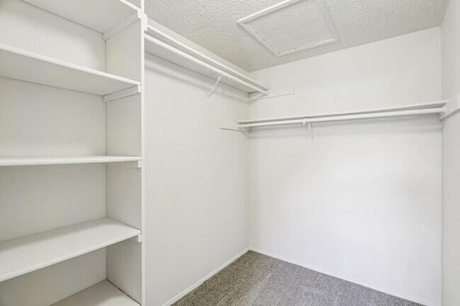 Interior Photo - Welcome Home to James Apartment Lakewood , WA