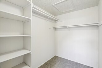 Interior Photo - Welcome Home to James Apartment Lakewood , WA