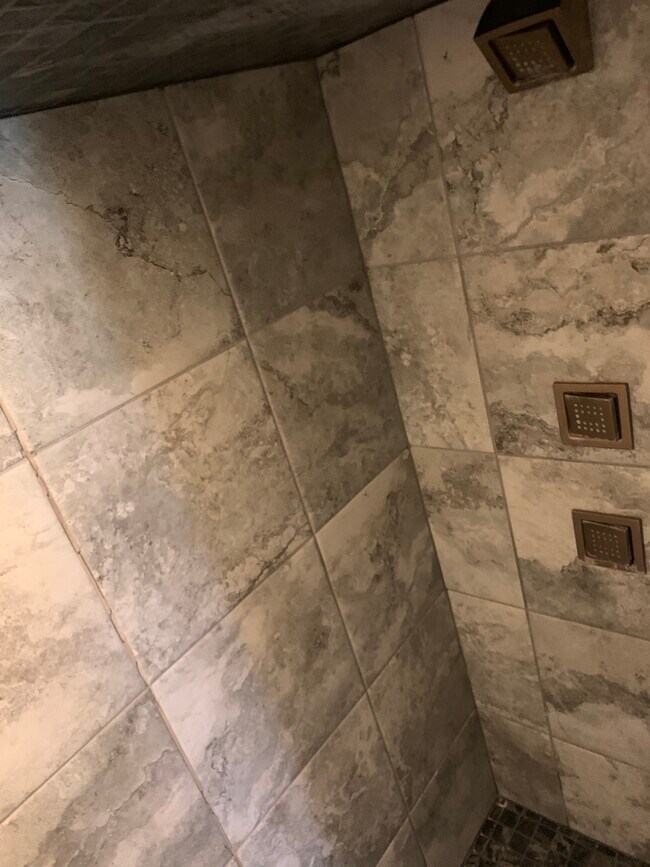 Unit D three shower heads - 424 Main St