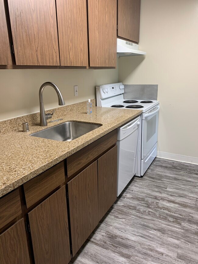 Kitchen Updates: Granite / Sink - 1944 Garden Dr