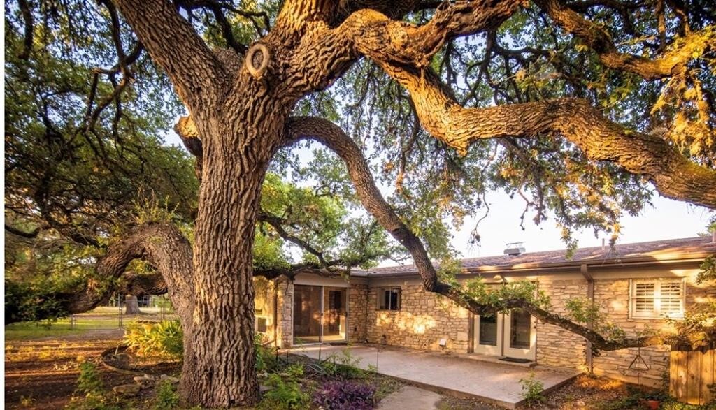 Foto principal - 16351 Ranch to Market Rd 150