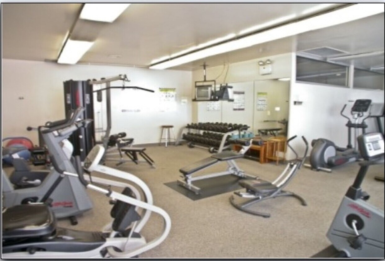 Primary Photo - Newly Renovated, 1 Bed/1Bath Unit with Stu...