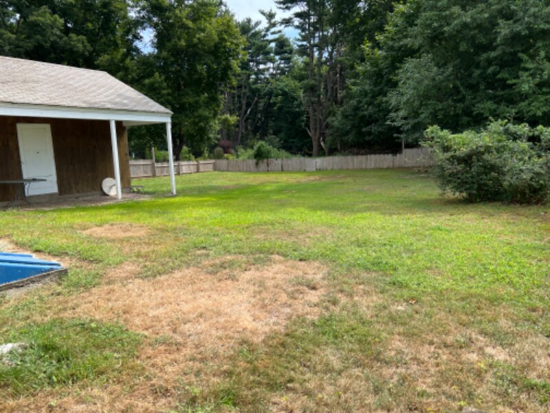 Foto del edificio - 217 Veres St