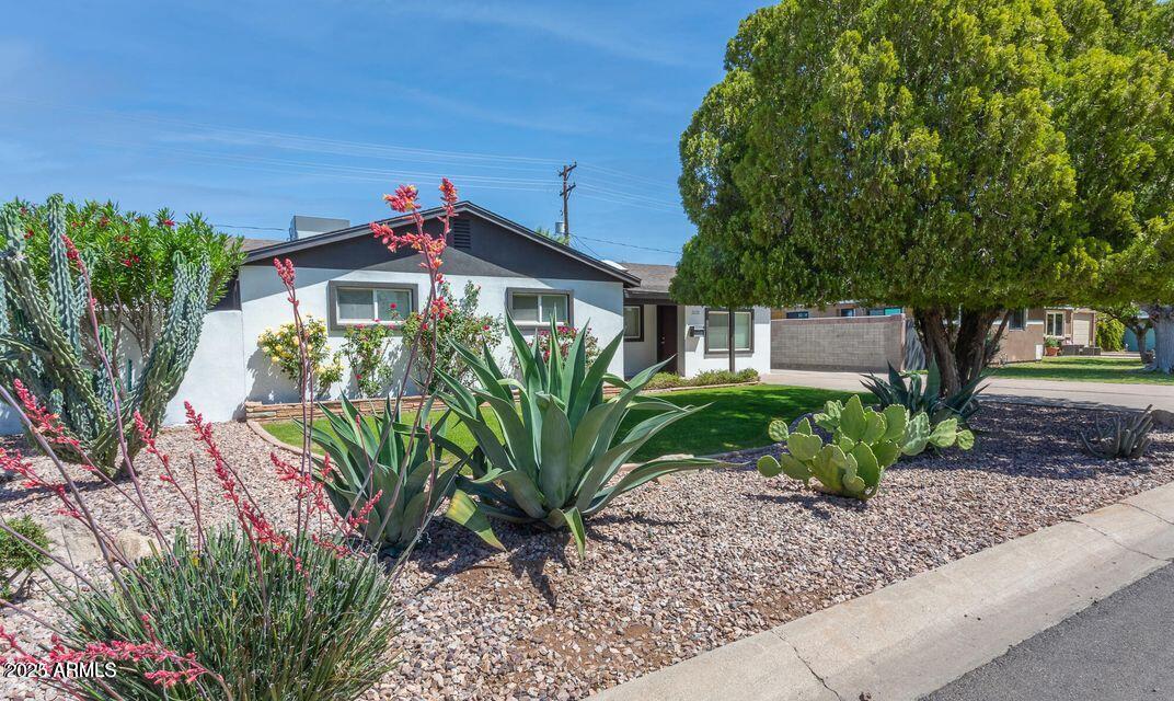 Primary Photo - 3232 E Cypress St