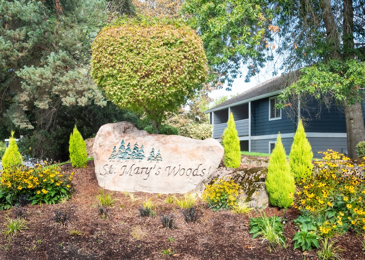 Primary Photo - St. Mary's Woods Apartments