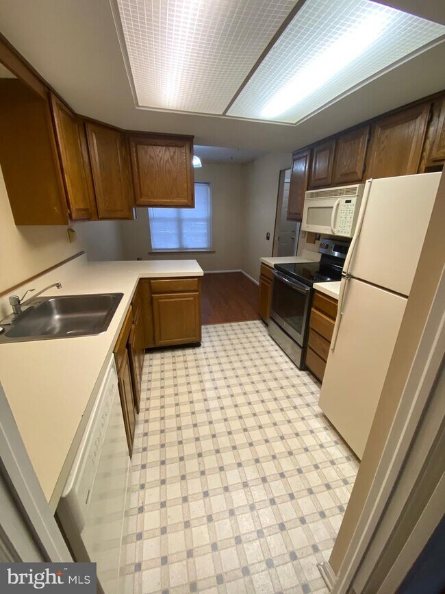 Foto del edificio - 447 Saybrook Ln