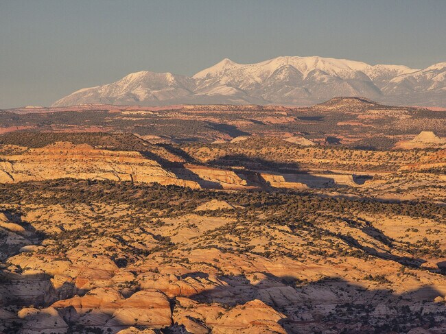 Foto del edificio - 523 W Vance Dr